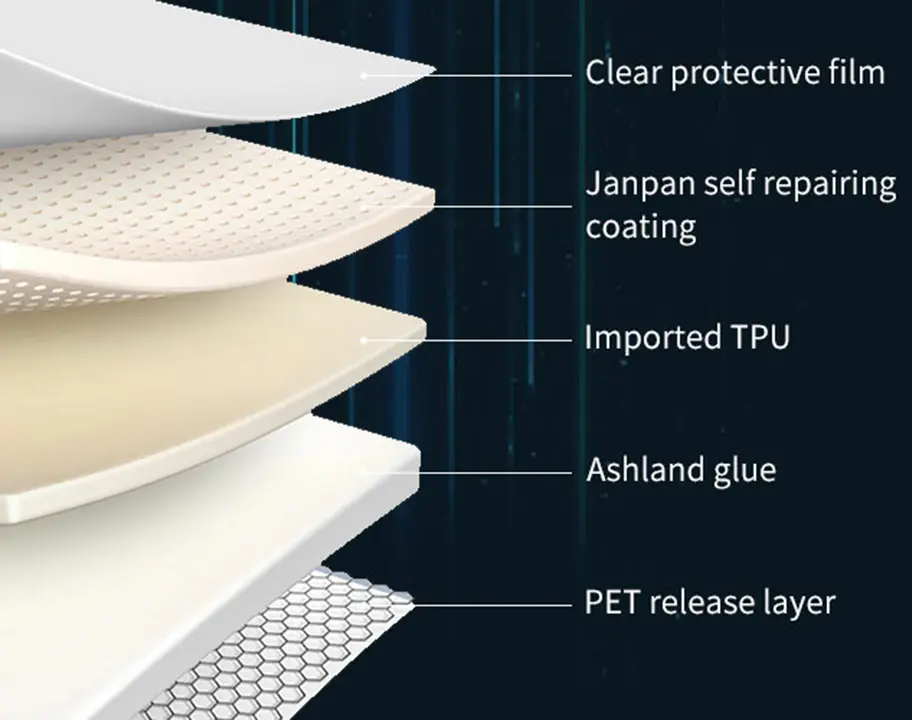 The material structure and characteristics of PPF  (1)